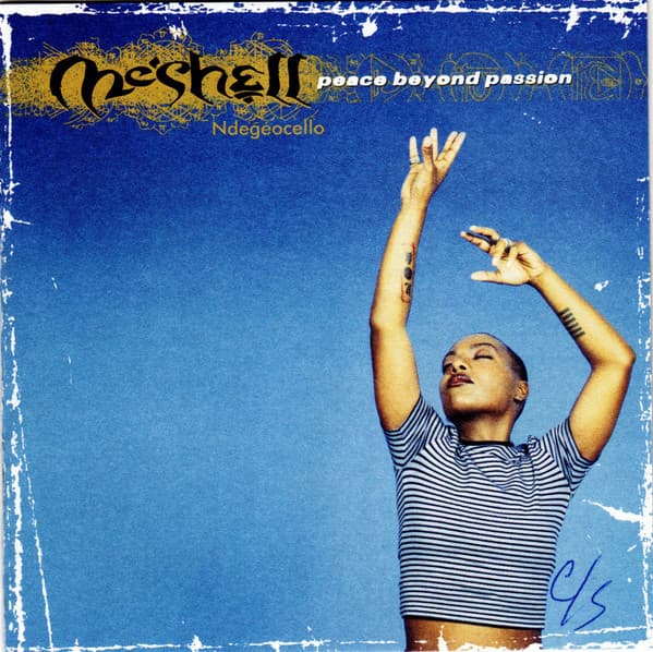 Me'Shell NdegéOcello – Peace Beyond Passion vinyl cover art