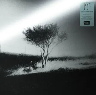 Joji - Piss In The Wind (Deluxe Edition)