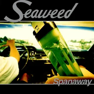 Seaweed - Spanaway (30th Anniversary)